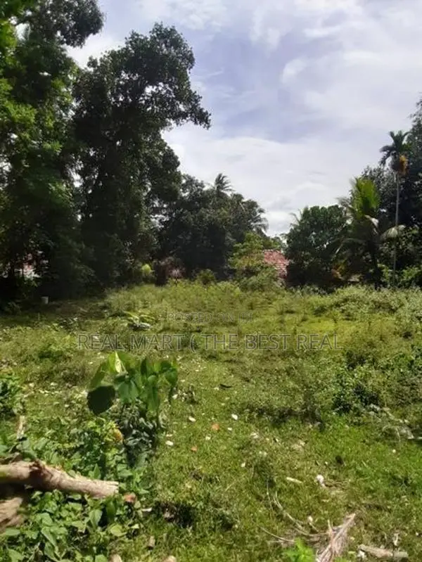 Walasmulla : 146 Perches Land with Old House for Sale