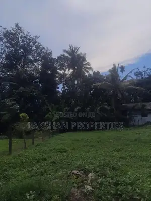 Land For Sale In Boralesgamuwa werahera