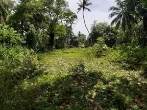 Walasmulla : 146 Perches Land with Old House for Sale