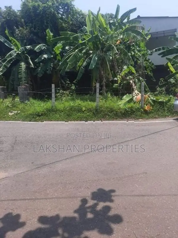 Land For Sale in colombo 05 කිරුලපන