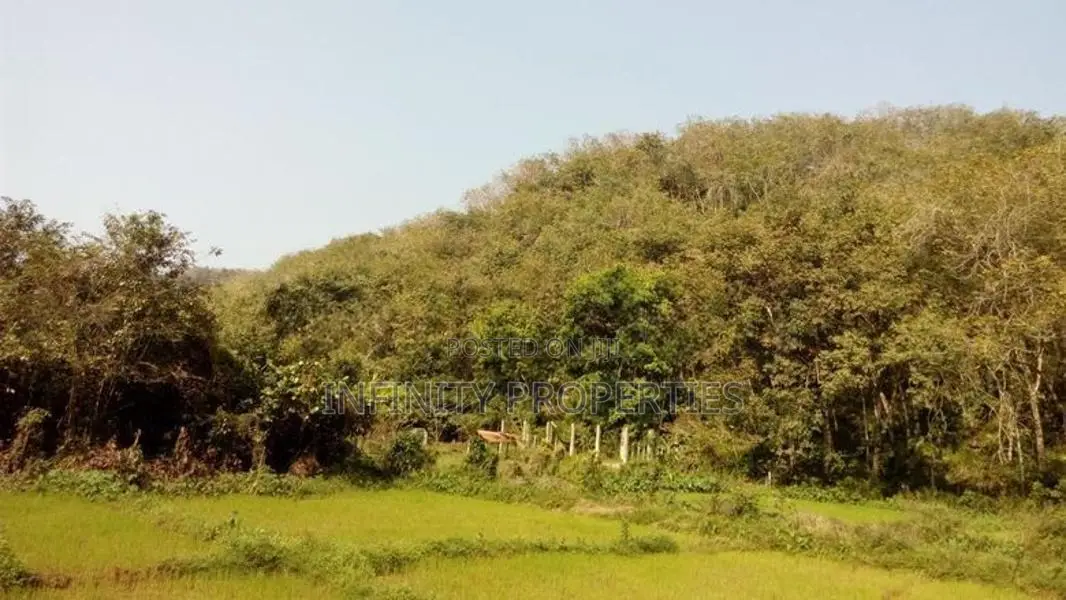 19 Acre Land Sale At Nebada Kaluthara