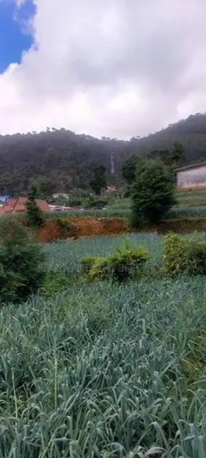 Nuwara Eliya : 148 Perches Land for Sale