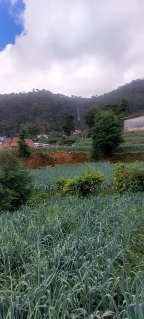 Nuwara Eliya : 148 Perches Land for Sale