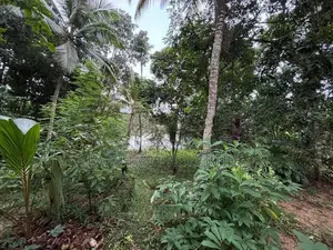Land For Sale In අවිස්සාවේල්ල හංවැල්ල