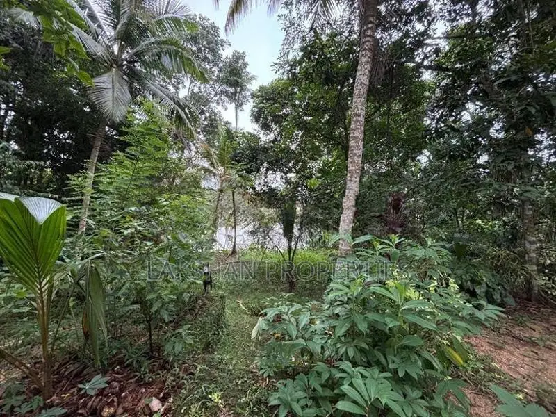 Land For Sale In අවිස්සාවේල්ල හංවැල්ල