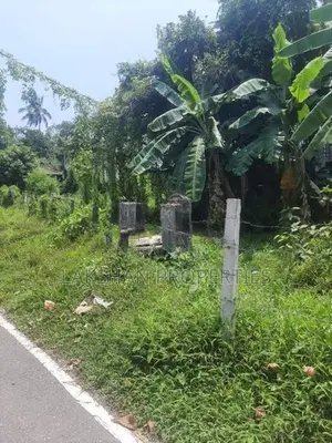 Land For Sale in colombo 05 කිරුලපන