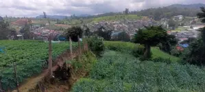 Nuwara Eliya : 148 Perches Land for Sale
