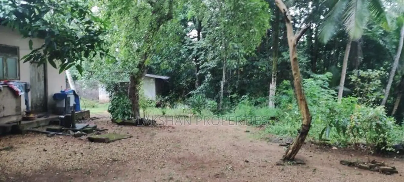 Land For Sale In අවිස්සාවේල්ල හංවැල්ල