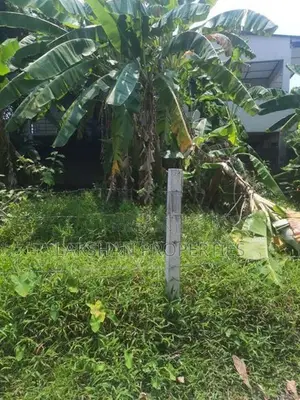 Land For Sale in colombo 05 කිරුලපන