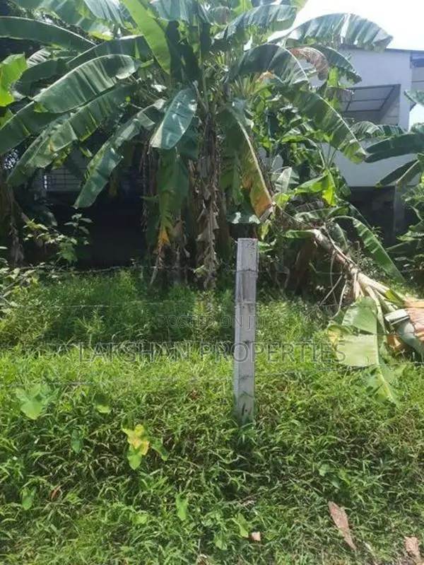 Land For Sale in colombo 05 කිරුලපන