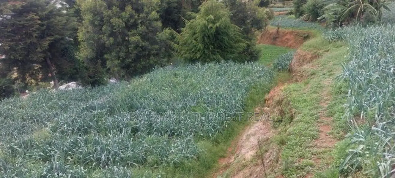 Nuwara Eliya : 148 Perches Land for Sale