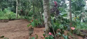 Land For Sale In අවිස්සාවේල්ල හංවැල්ල