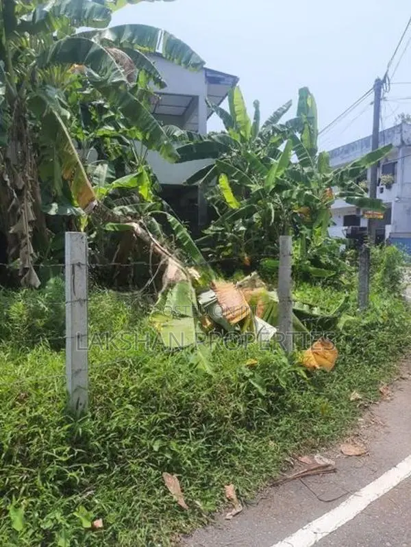 Land For Sale in colombo 05 කිරුලපන