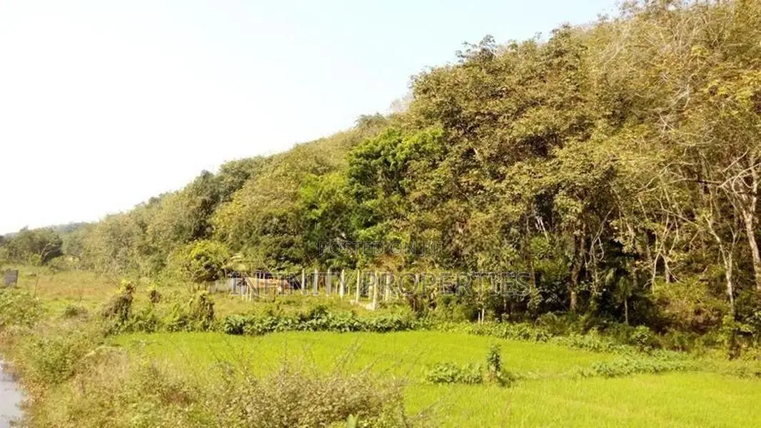 19 Acre Land Sale At Nebada Kaluthara