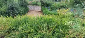 Nuwara Eliya : 148 Perches Land for Sale