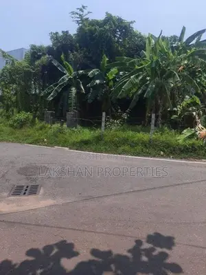 Land For Sale in colombo 05 කිරුලපන