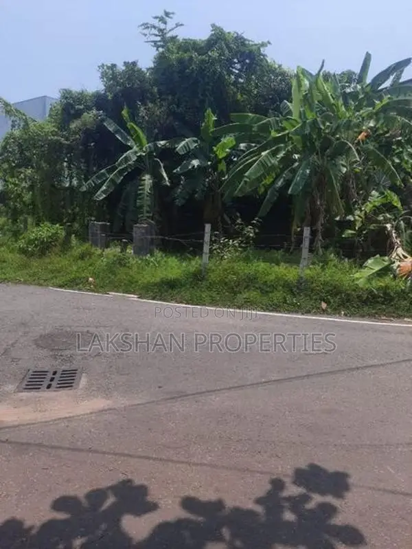 Land For Sale in colombo 05 කිරුලපන