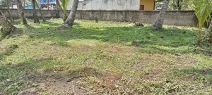40P Bare Land for Sale in Ganemulla Road, Ja-ela (SL 14594)