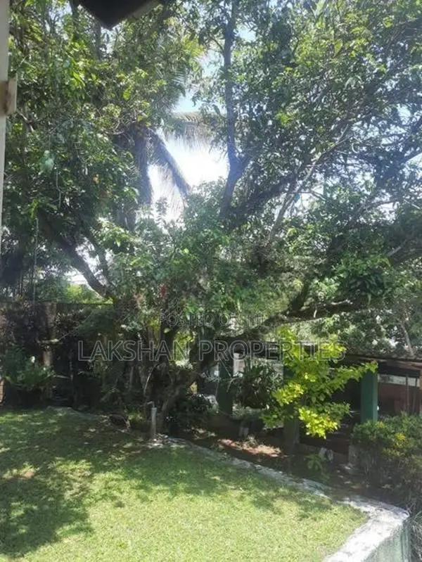 Land For Sale In Boralesgamuwa