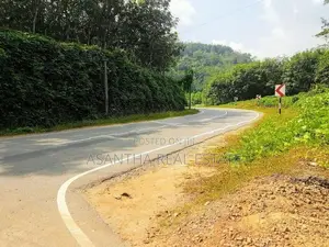 19 Acre Land Sale At Nebada Kaluthara