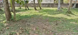 40P Bare Land for Sale in Ganemulla Road, Ja-ela (SL 14594)