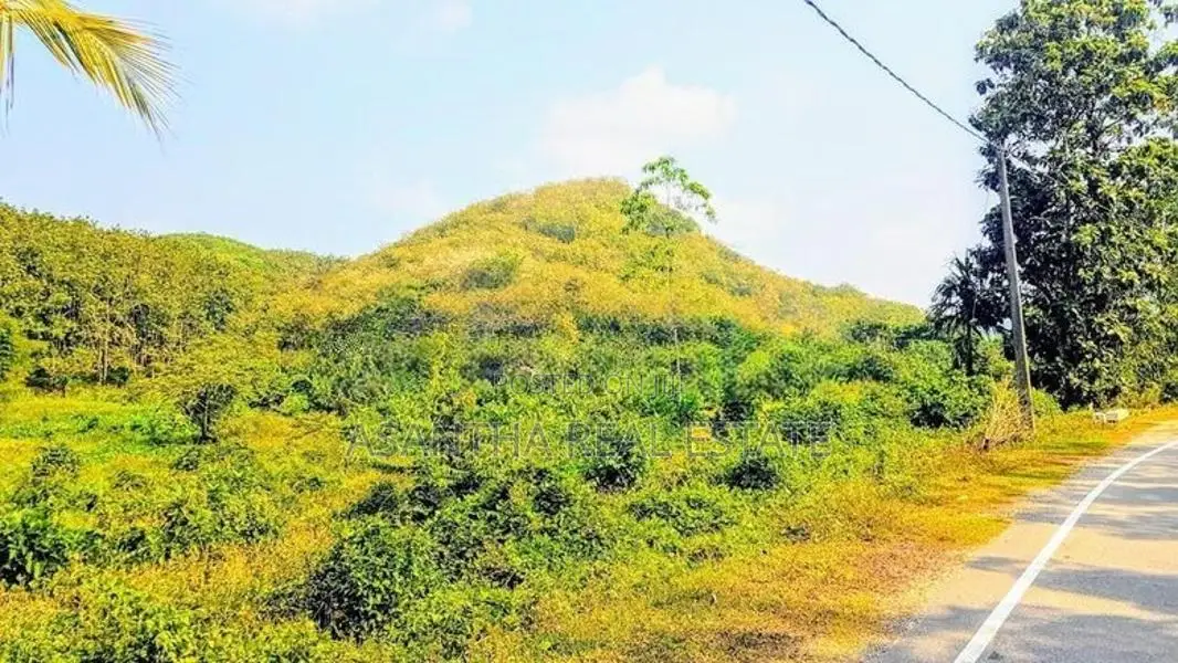 19 Acre Land Sale At Nebada Kaluthara