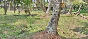 40P Bare Land for Sale in Ganemulla Road, Ja-ela (SL 14594)