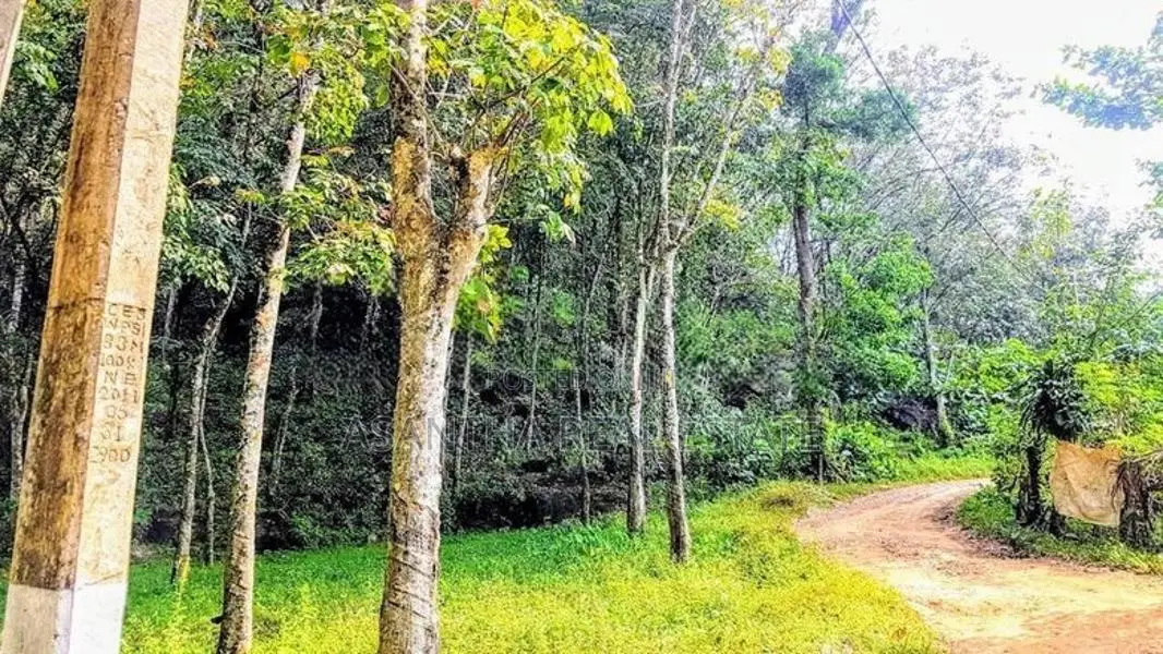 19 Acre Land Sale At Nebada Kaluthara