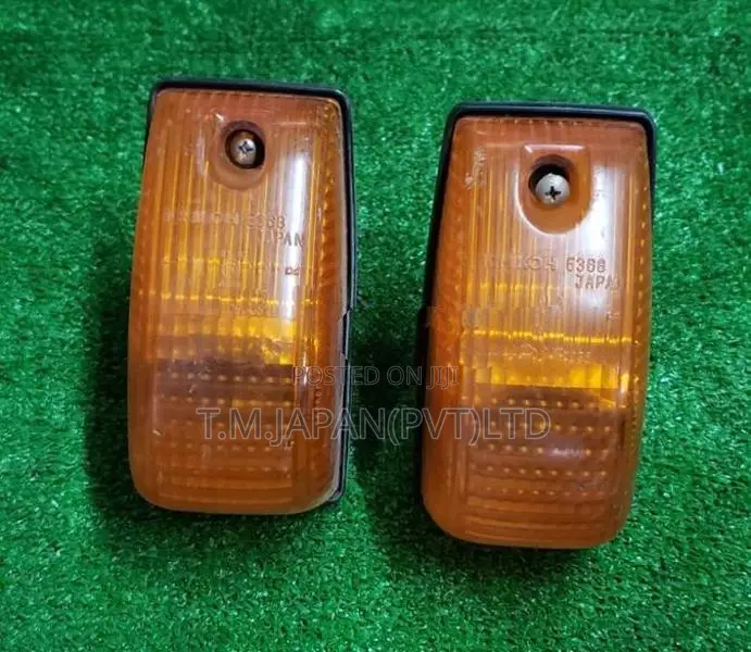 Toyota Hino Dutro Door Lamp