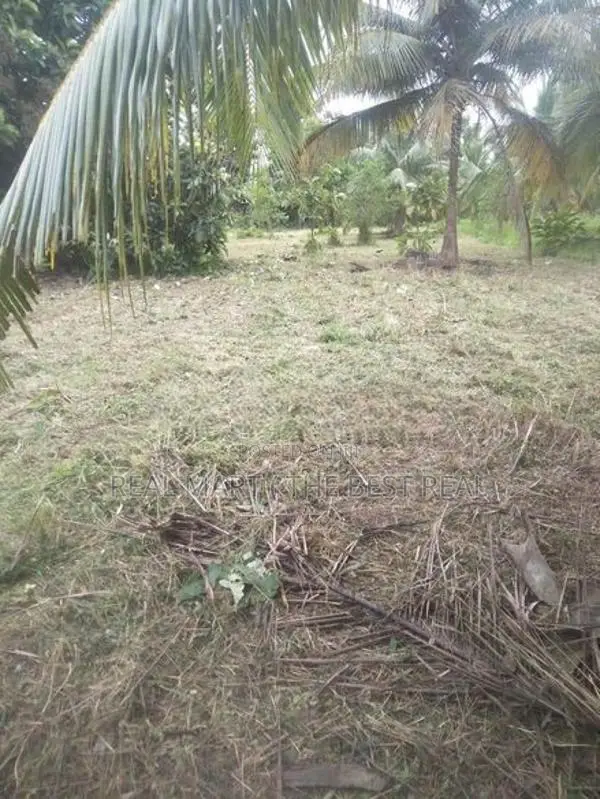 Puttalam : 25.5 Acres Coconut Estate for Sale at Wanathawilluwa