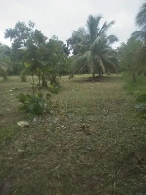 Puttalam : 25.5 Acres Coconut Estate for Sale at Wanathawilluwa