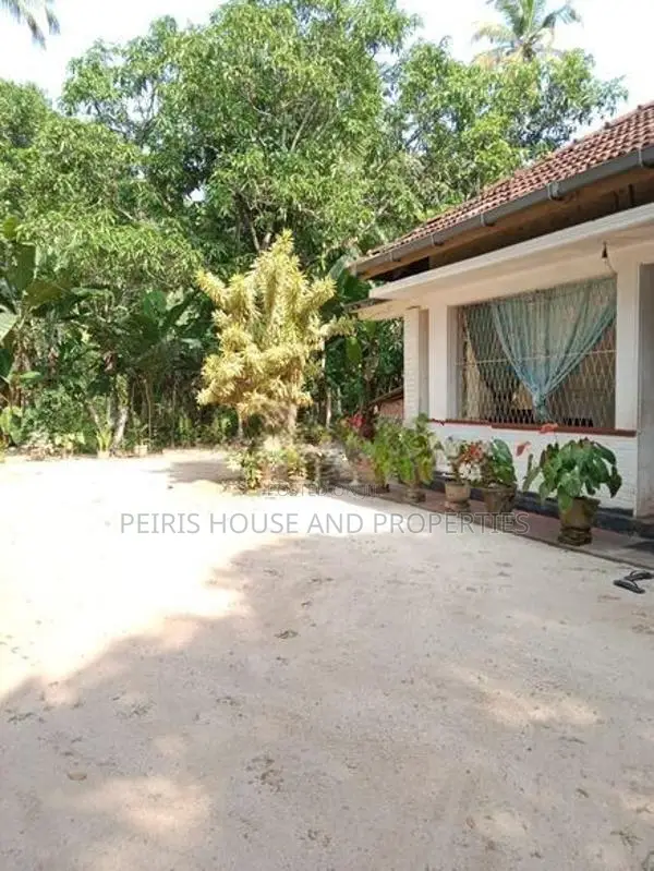 240 perch Land For Sale Minuwangoda Gampaha