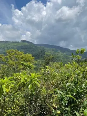Beautiful Land in Kandy Bordering to Knuckles Mountain Range