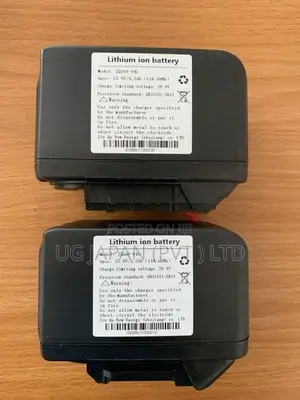 Electric Wheel Chair Battery
