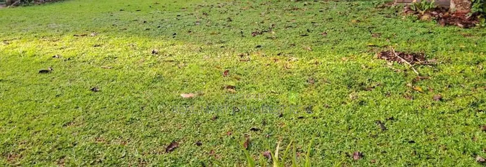 Kandana : 23 Perches Commercial Land for Sale in Bollatha