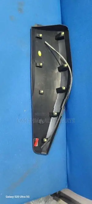 CHR Rear Door Molding