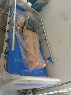 Electric Patient Bed Four Function Imported - (Backup Battery)