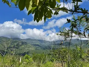 Beautiful Land in Kandy Bordering to Knuckles Mountain Range
