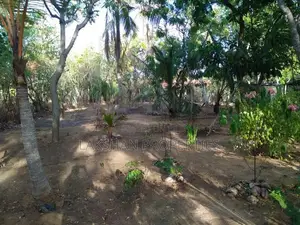 Land For Sale In Hambanthota