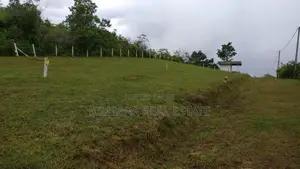 60P Bare Land for Sale in Handapangoda Road, Horana (SL 14549)