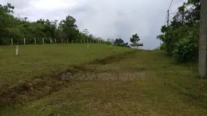 60P Bare Land for Sale in Handapangoda Road, Horana (SL 14549)