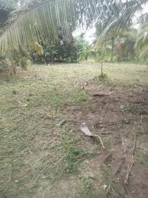 Dehiwala : 17.5 P Highly Residential Land for Sale at Attidiya