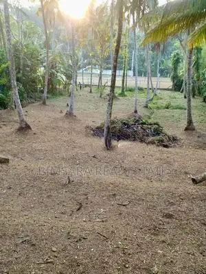 40 P Bare Land for Sale in Duwatemple Road, Kalutara South (sl 14603)