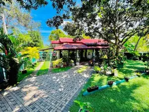 Katunayaka Nice & Beautiful Garden Has Single Story House For Sale