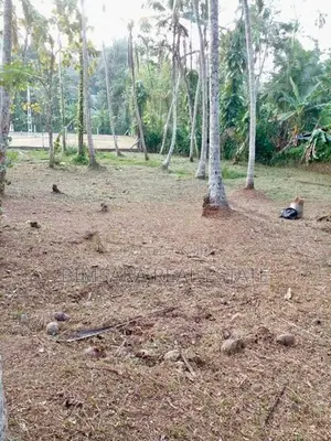 40 P Bare Land for Sale in Duwatemple Road, Kalutara South (sl 14603)