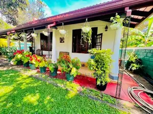 Katunayaka Nice & Beautiful Garden Has Single Story House For Sale