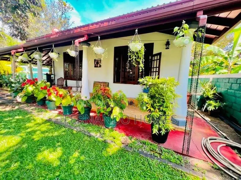 Katunayaka Nice & Beautiful Garden Has Single Story House For Sale