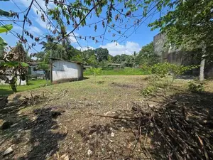 25P Bare Land For Sale In Piliyandala