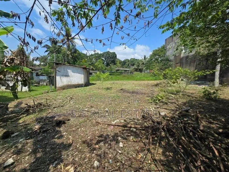 25P Bare Land For Sale In Piliyandala