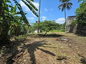 25P Bare Land For Sale In Piliyandala
